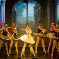 cascanueces-2025-ballet-school07