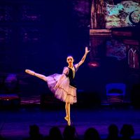 Art Semure Photography