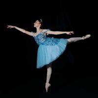 el-latido-de-pinocho01