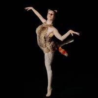 el-latido-de-pinocho09