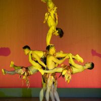 gran-circo-acrobatico-de-china51