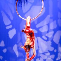 gran-circo-acrobatico-de-china53