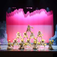 gran-circo-acrobatico-de-china54