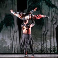 gran-circo-acrobatico-de-china57