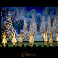 Art Semure Photography