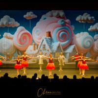 Art Semure Photography