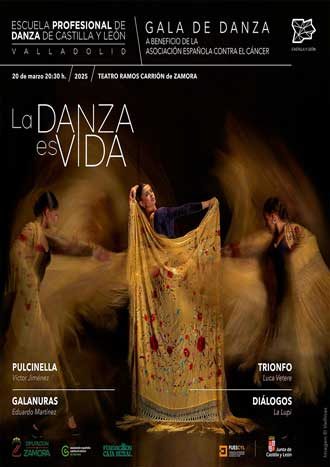 la-danza-es-vida